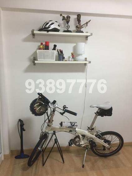 Blk 3 Lorong 7 Toa Payoh (Toa Payoh), HDB 3 Rooms #138082422